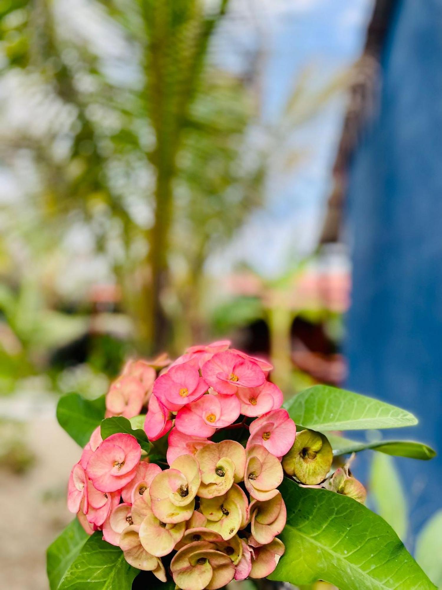 Un Dia Boutique Resort Playas Exterior foto